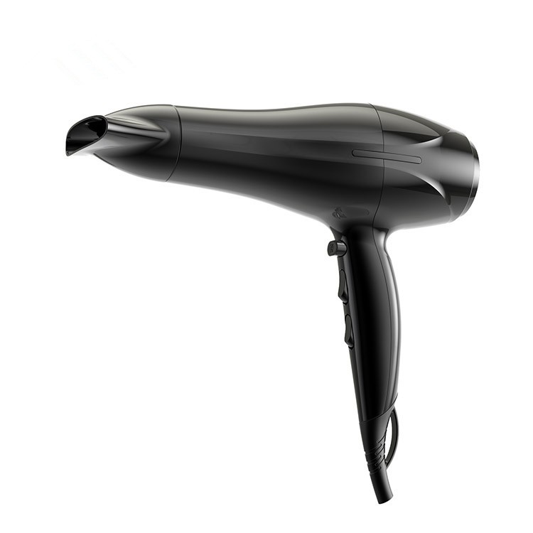 Ionic Induction Function Professional blow Hair dryer