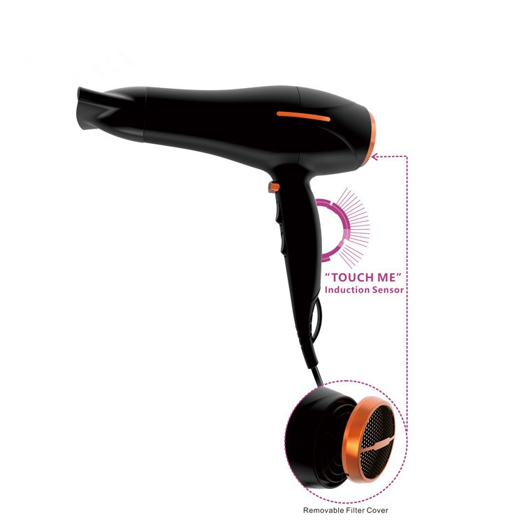 Ionic Induction Function Professional blow Hair dryer